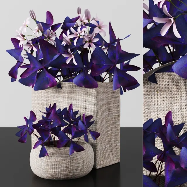 decoration – Plants tree 54 3ds Max