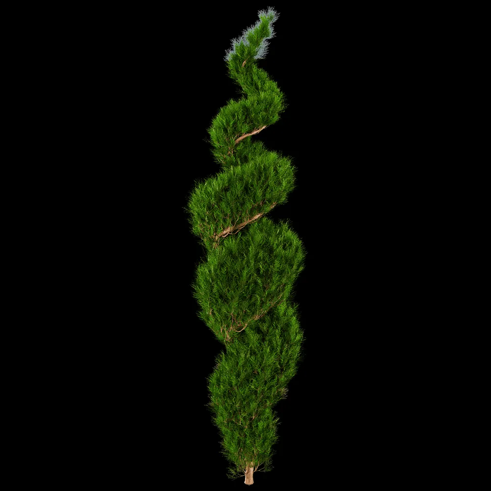 decoration – Platycladus Orientails 02 05 3ds Max