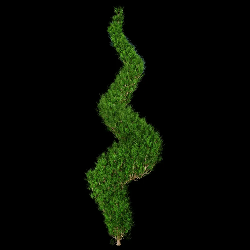 decoration – Platycladus Orientails 02 06 3ds Max