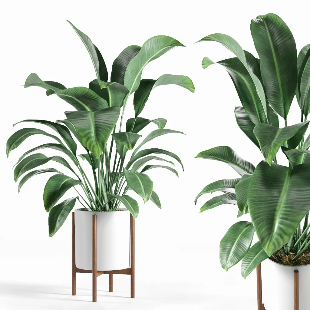 decoration – Pot plant 3ds Max