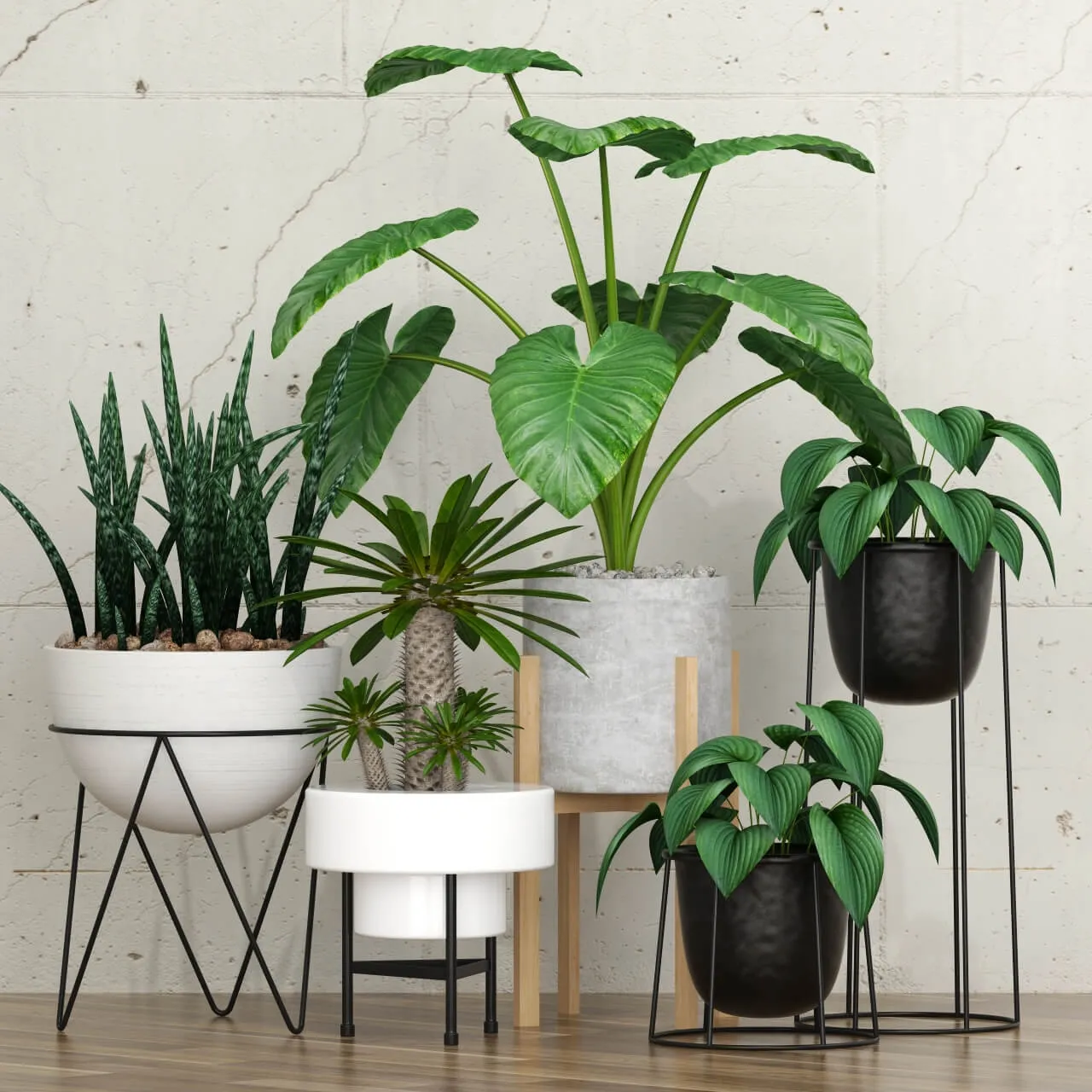 decoration – Potted plants 092 3ds Max