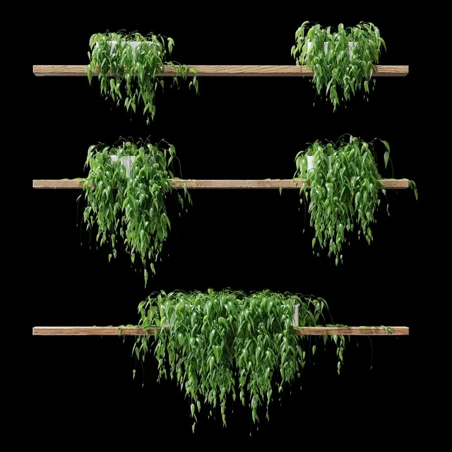 decoration – Potted plants on the shelves v2 3ds Max