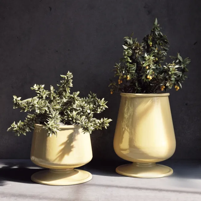 decoration – Pottery plant 2 3ds Max