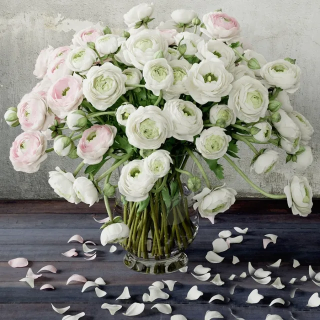 decoration – Ranunculus 2 3ds Max