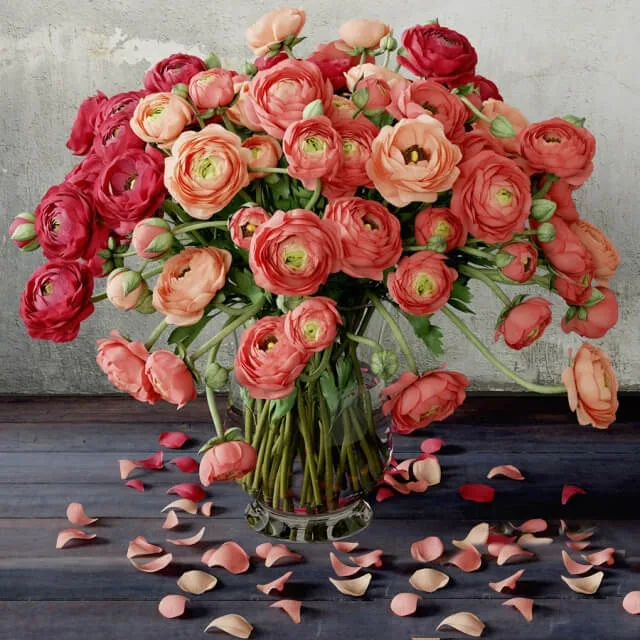 decoration – Ranunkulyus 3ds Max