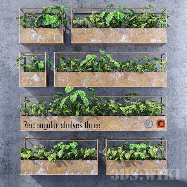 decoration – Rectangular shelves three 3ds Max