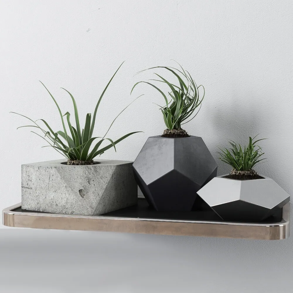 decoration – Redhome plants 3ds Max