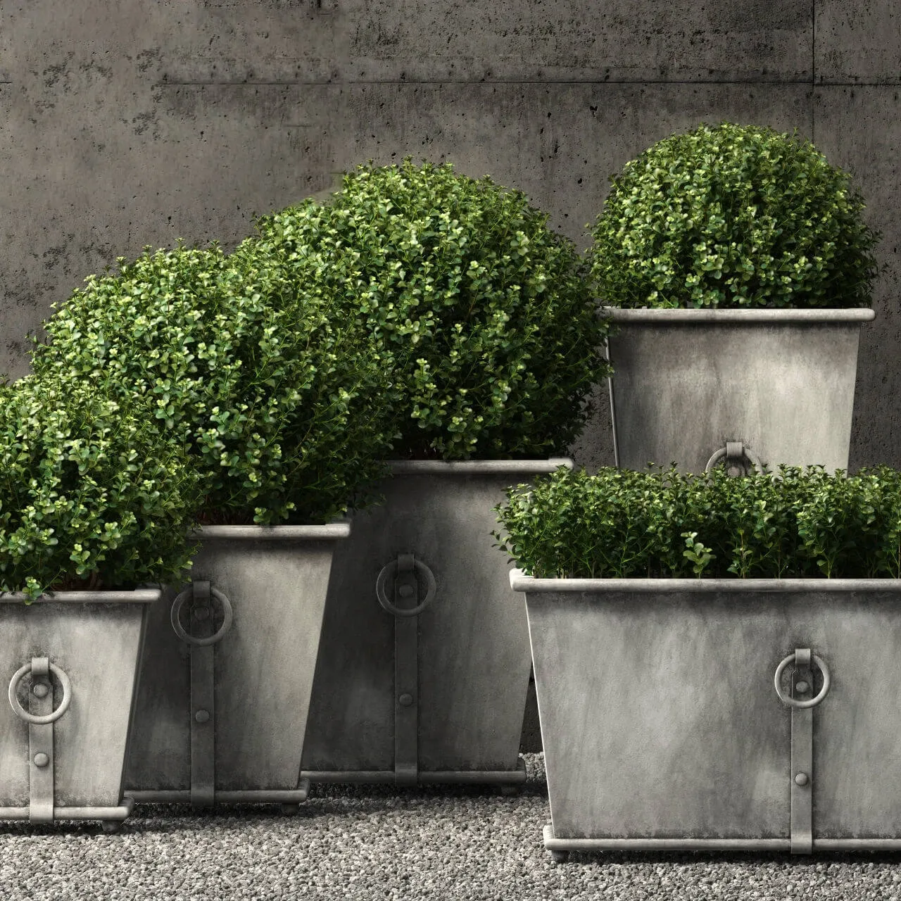 decoration – Restoration Hardware plants 02 3ds Max