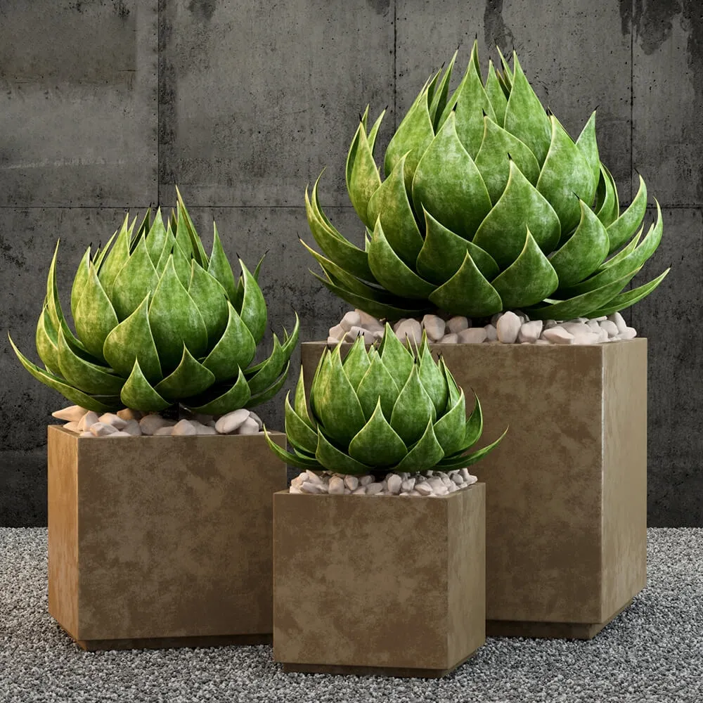 decoration – Restoration Hardware plants 3ds Max