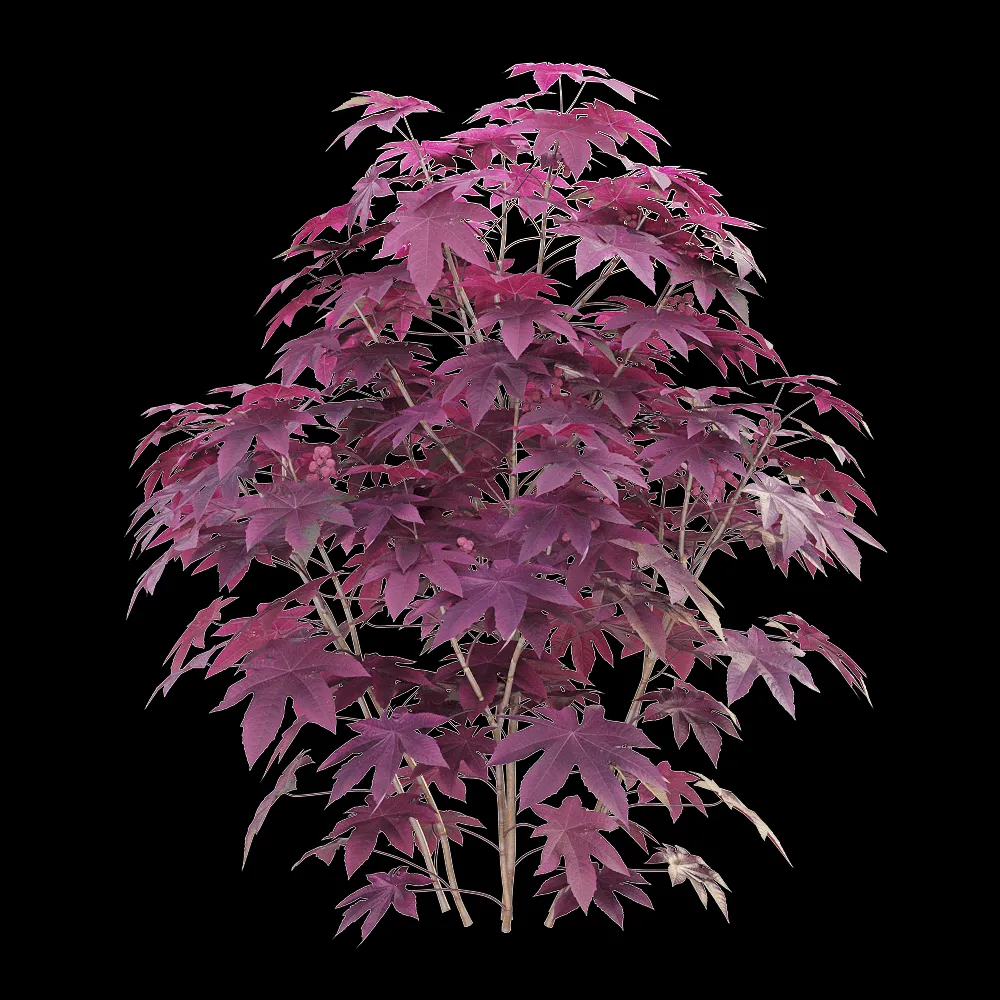 decoration – Ricinus communis 04 3ds Max