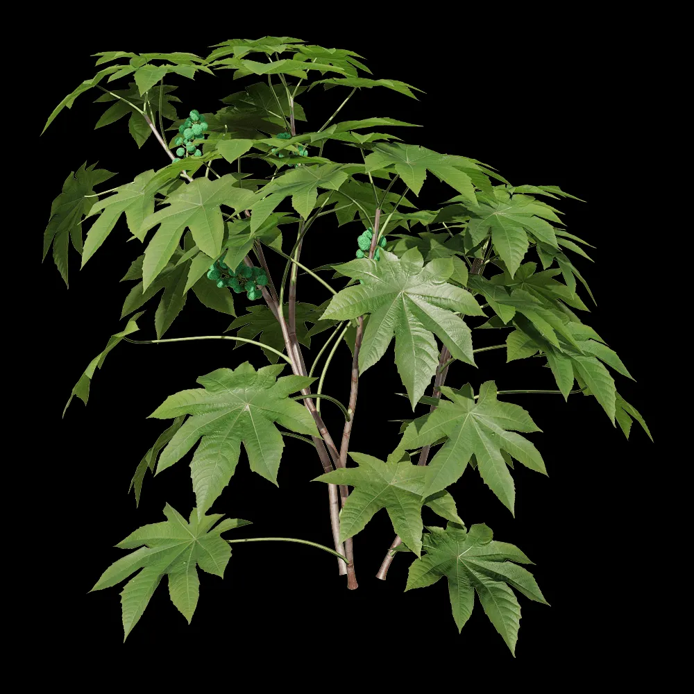 decoration – Ricinus communis 2 3ds Max