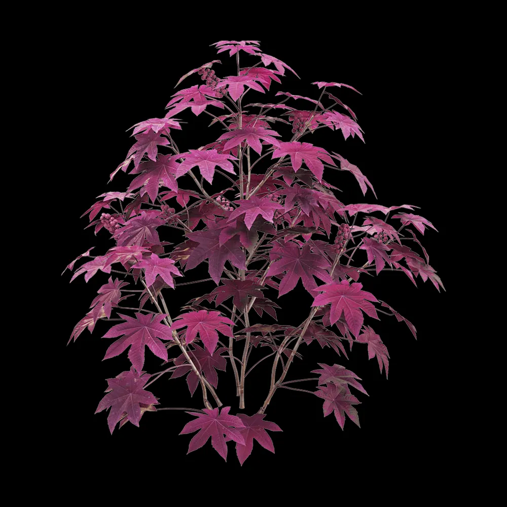 decoration – Ricinus communis 5 3ds Max
