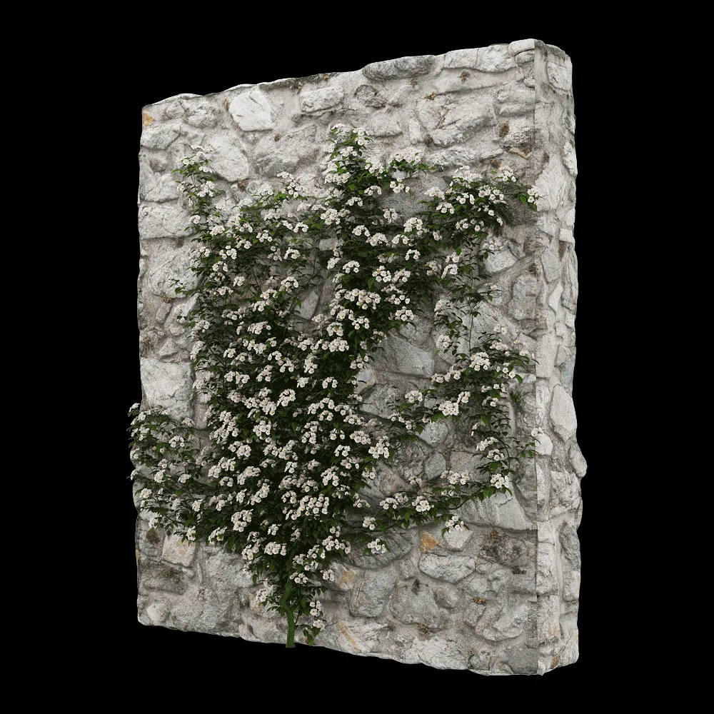 decoration – Rosa cymosa 4 3ds Max