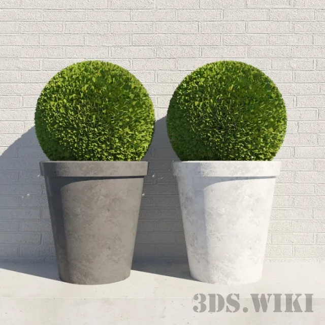 decoration – Round bushes in round pots 3ds Max