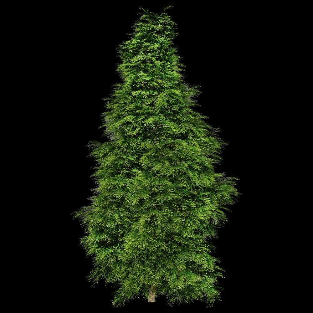 decoration – Sabina Chinensis 01 02 3ds Max