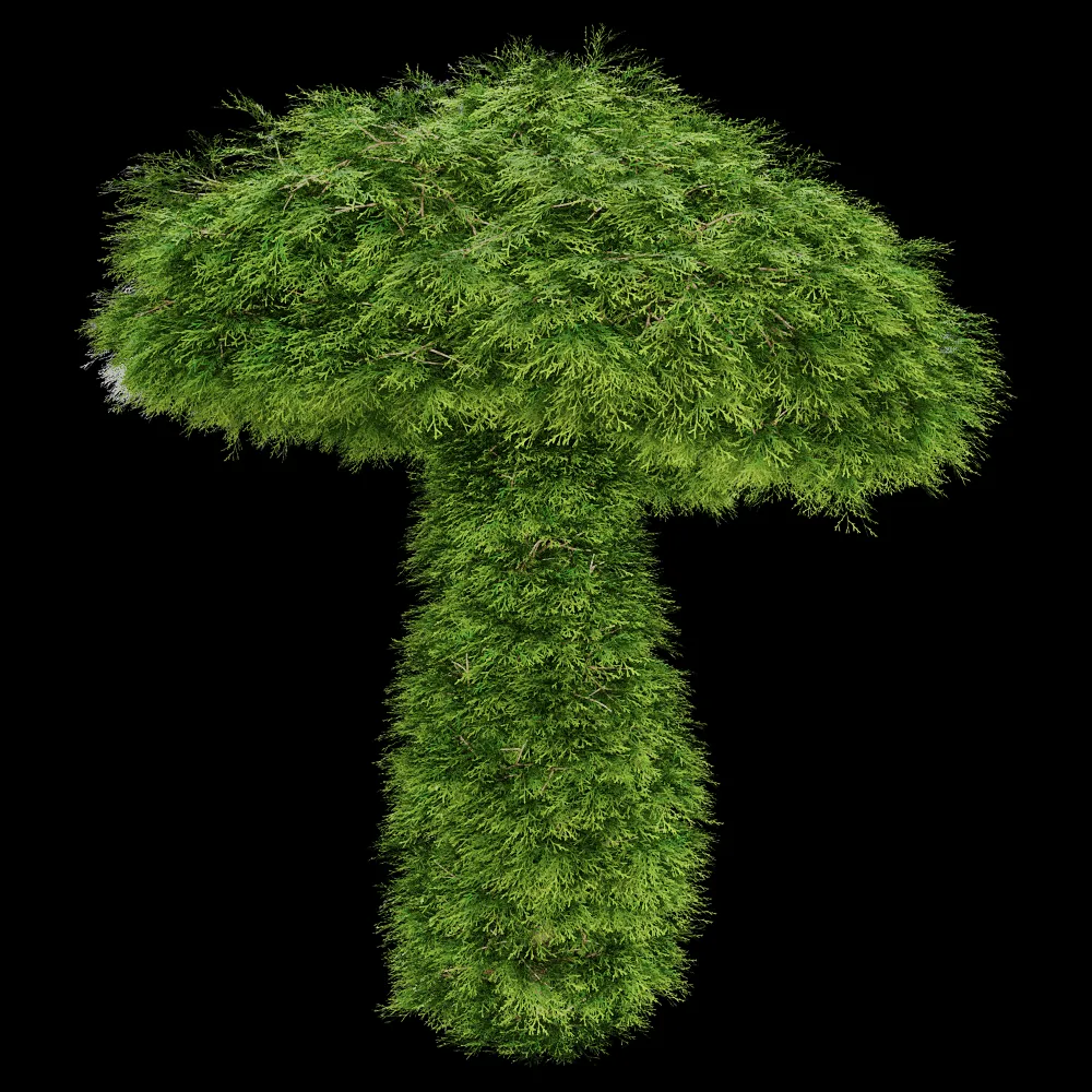 decoration – Sabina Chinensis 01 05 3ds Max