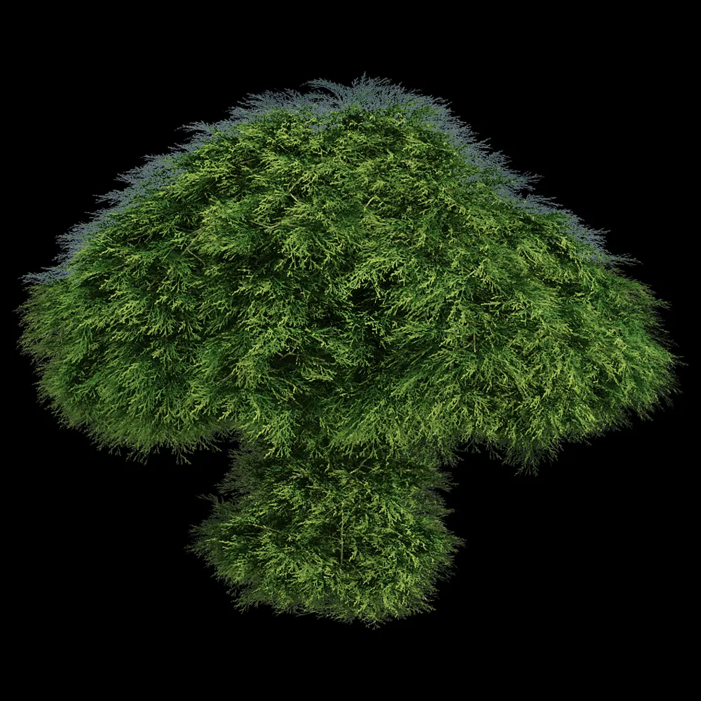 decoration – Sabina Chinensis 01 06 3ds Max