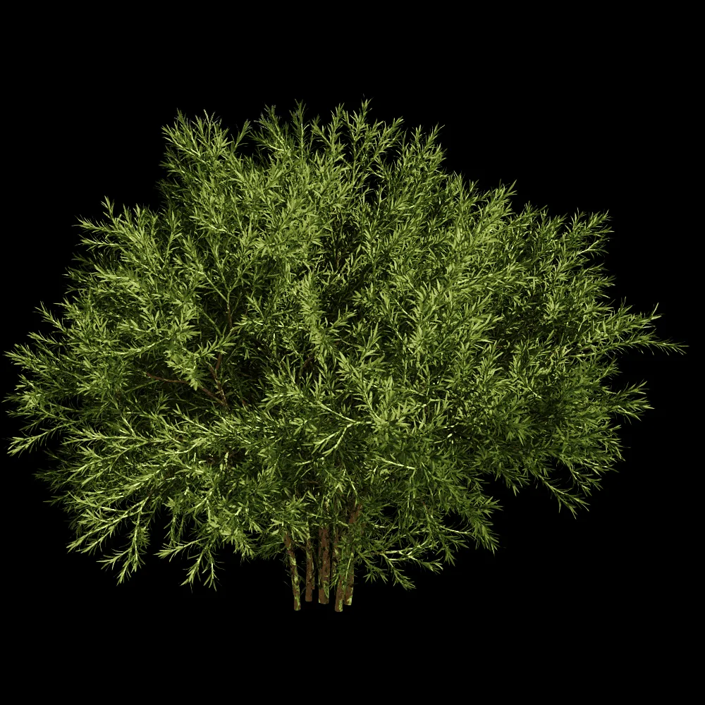 decoration – Sabina Pingii 01 01 3ds Max