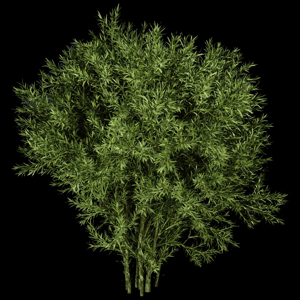 decoration – Sabina Pingii 01 02 3ds Max