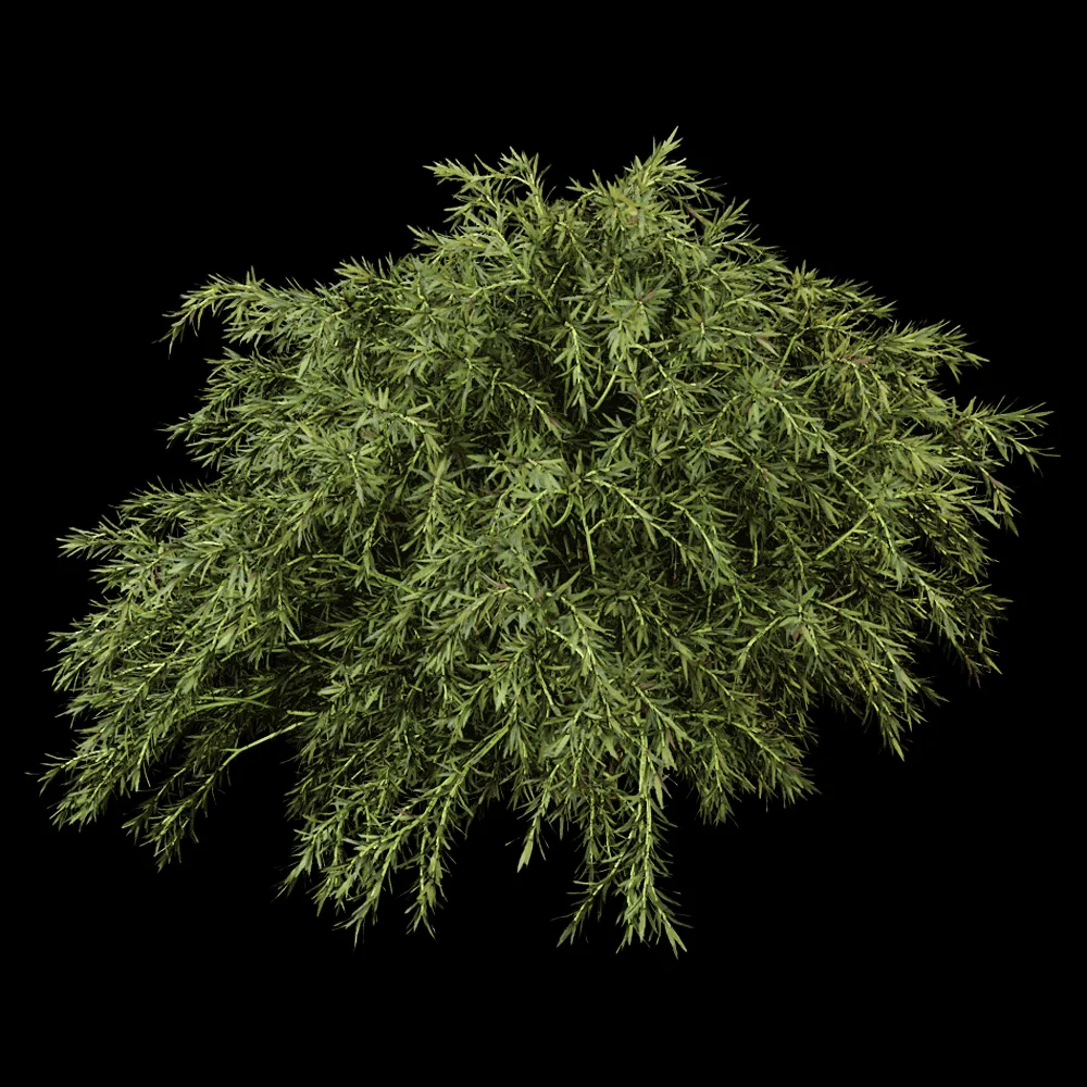 decoration – Sabina Pingii 01 05 3ds Max