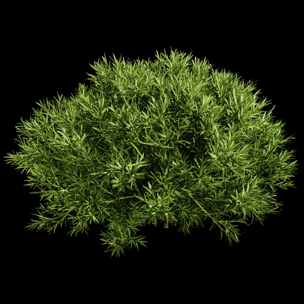 decoration – Sabina Pingii 01 06 3ds Max