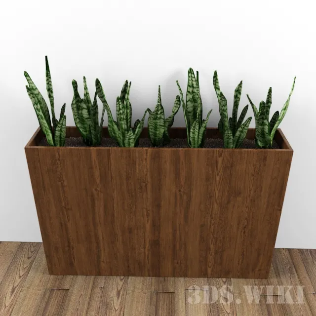 decoration – Sansevier – mother-in-law tongue flower 3ds Max