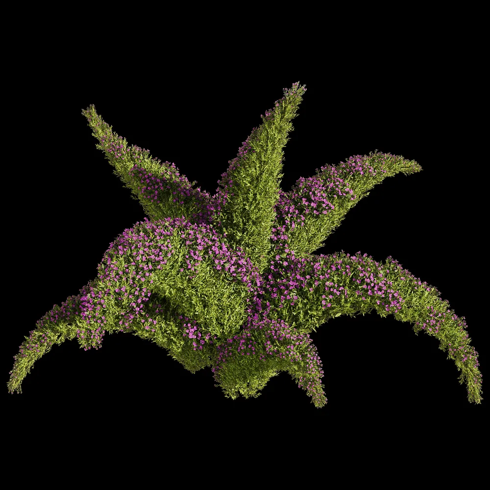 decoration – Sedum sarmentosum 2 3ds Max