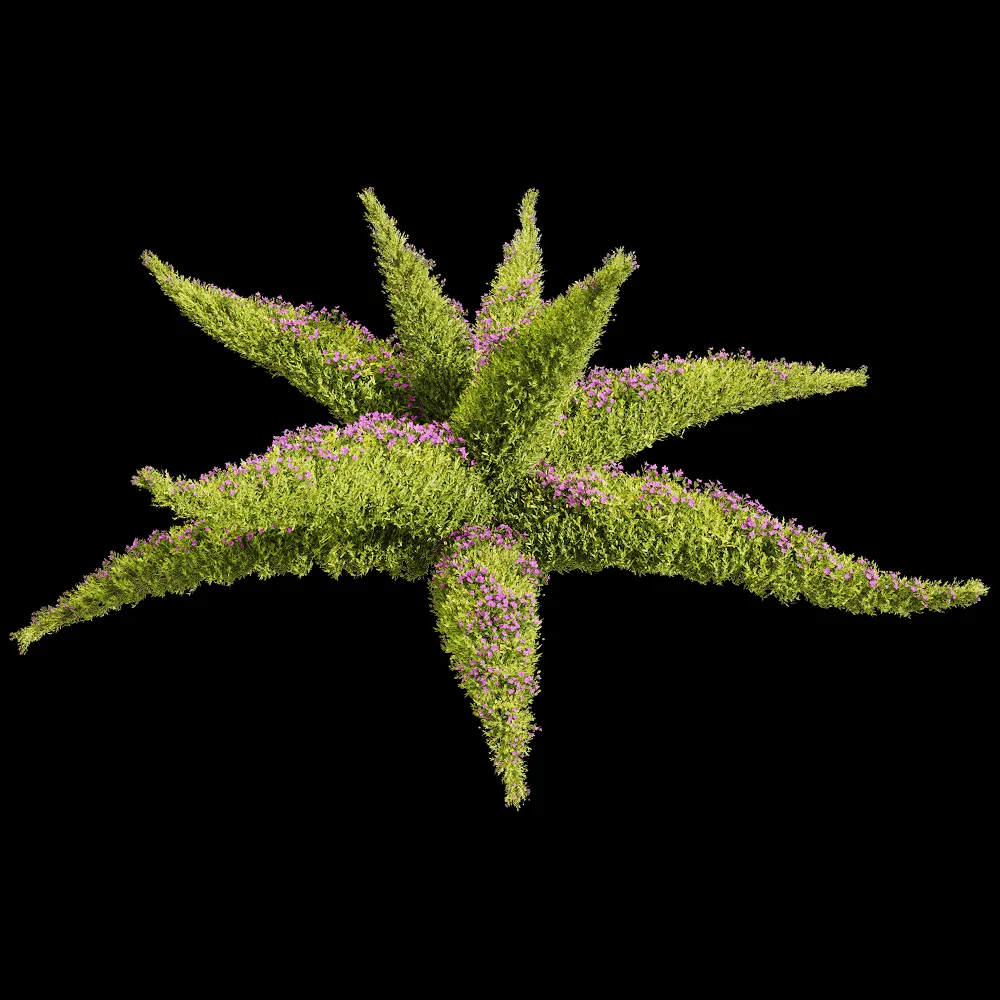 decoration – Sedum sarmentosum 3 3ds Max