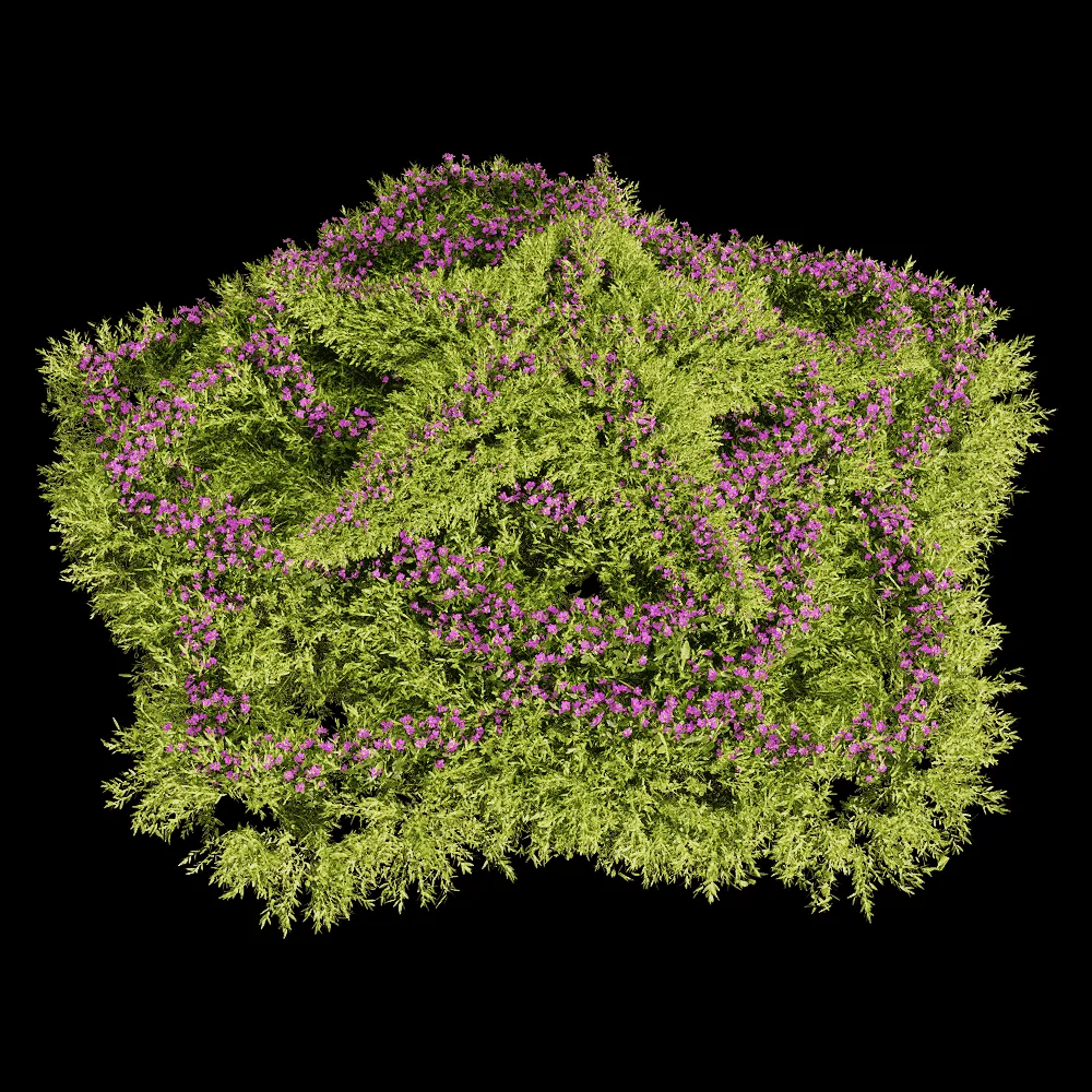 decoration – Sedum sarmentosum 5 3ds Max