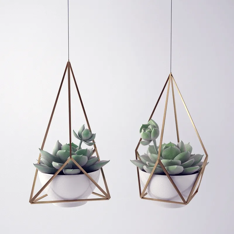 decoration – Sempervivum 3ds Max