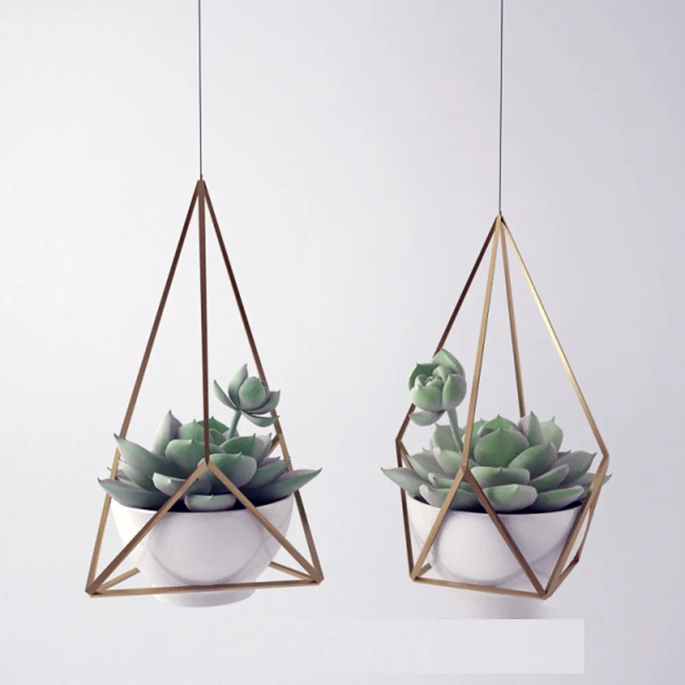 decoration – Sempervivum 3ds Max