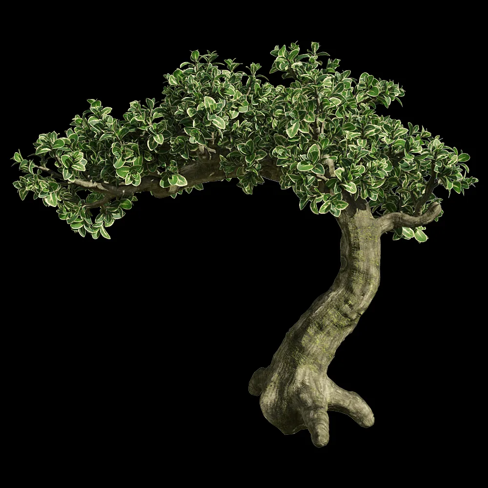 decoration – Serissa japonica 2 3ds Max