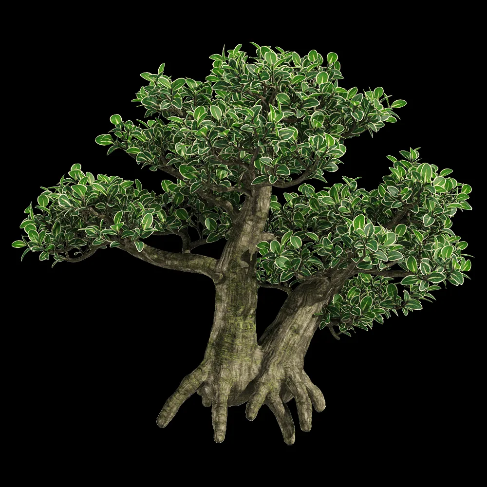 decoration – Serissa japonica 3 3ds Max