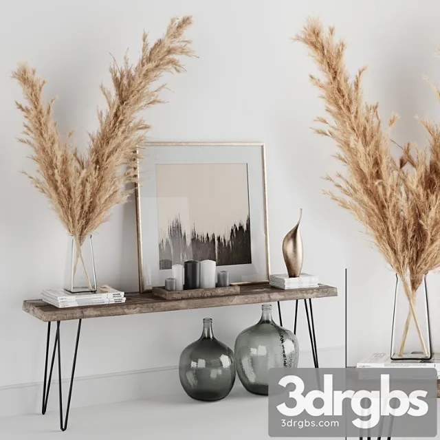 Decoration set 01 pampas & console