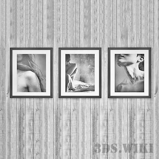 decoration – Set of photorealistic pictures 3ds Max