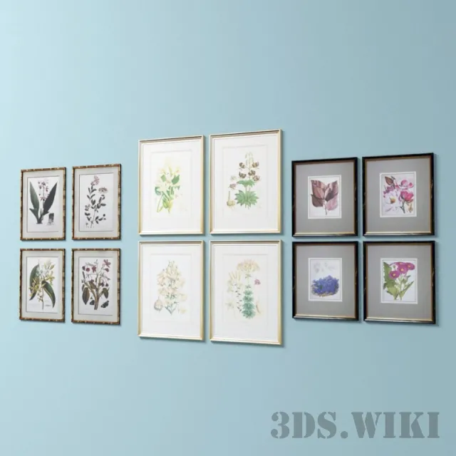 decoration – Set of pictures of flowers and frames 3ds Max