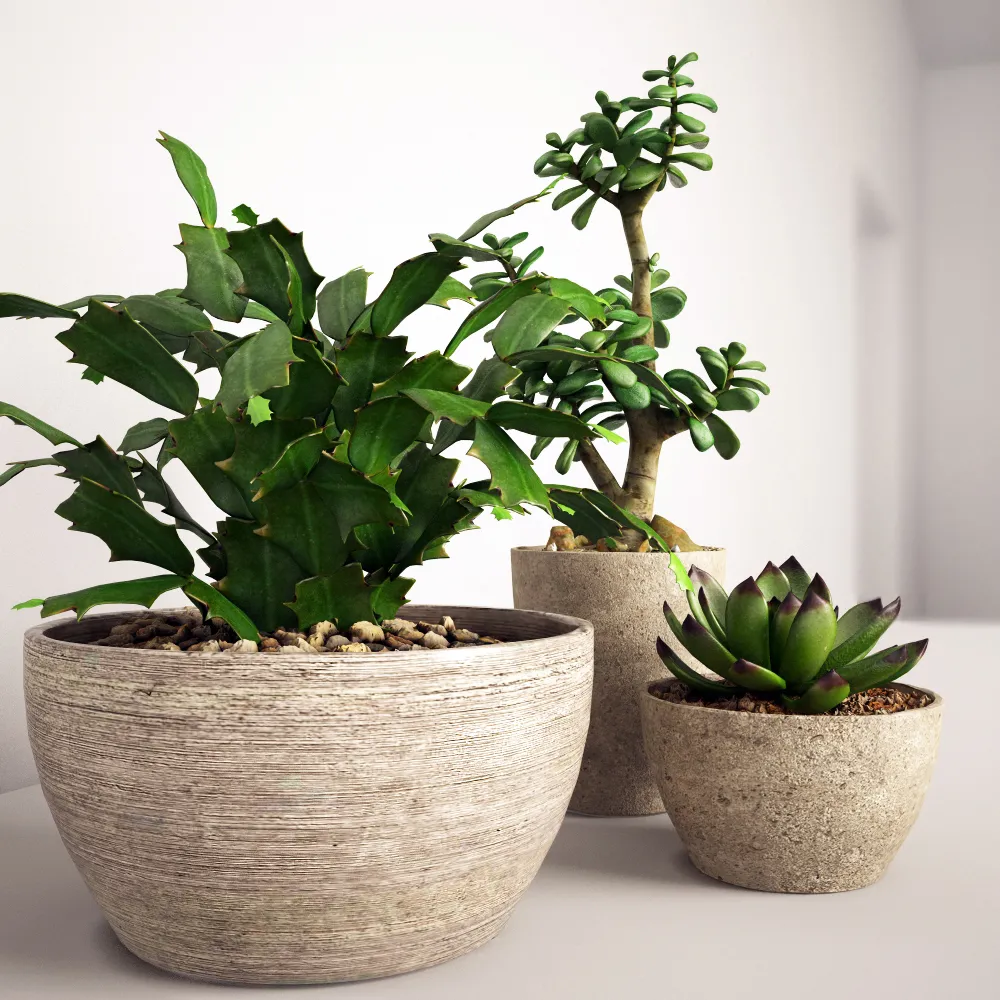 decoration – Set of plants 01 3ds Max