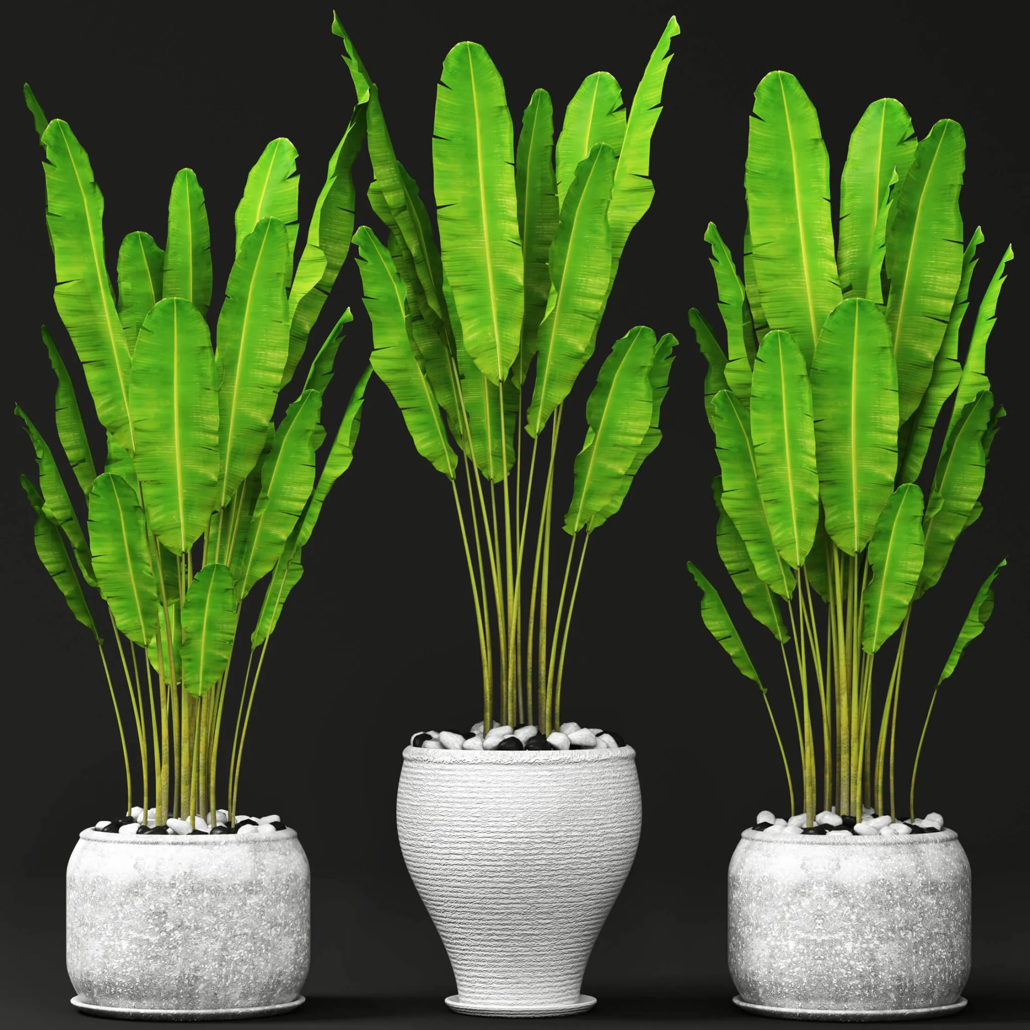 decoration – Set of plants 04 3ds Max