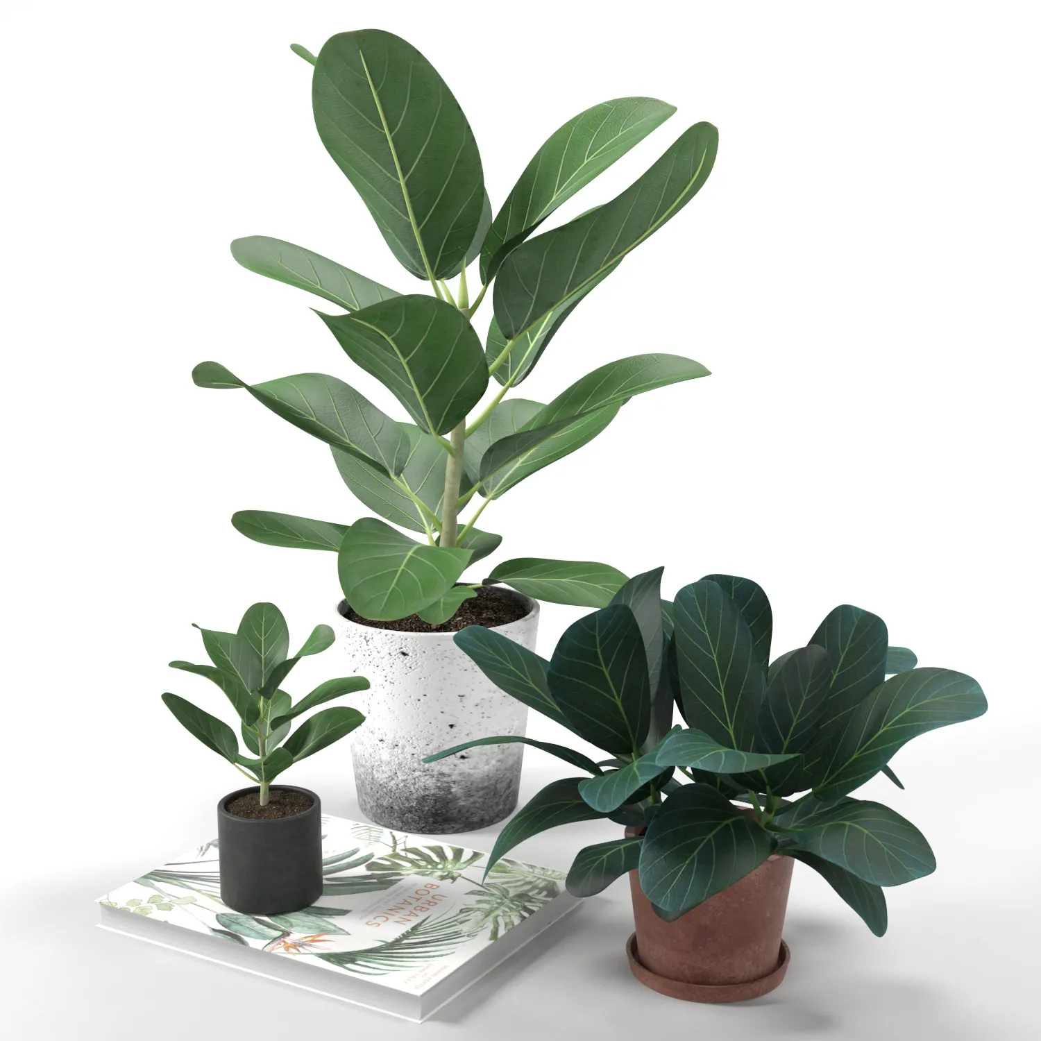 decoration – Set of plants 05 3ds Max