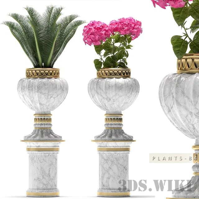decoration – Set of plants in vases 3ds Max