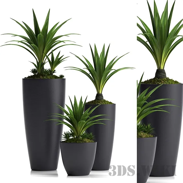 decoration – Set of plants with pots 3ds Max