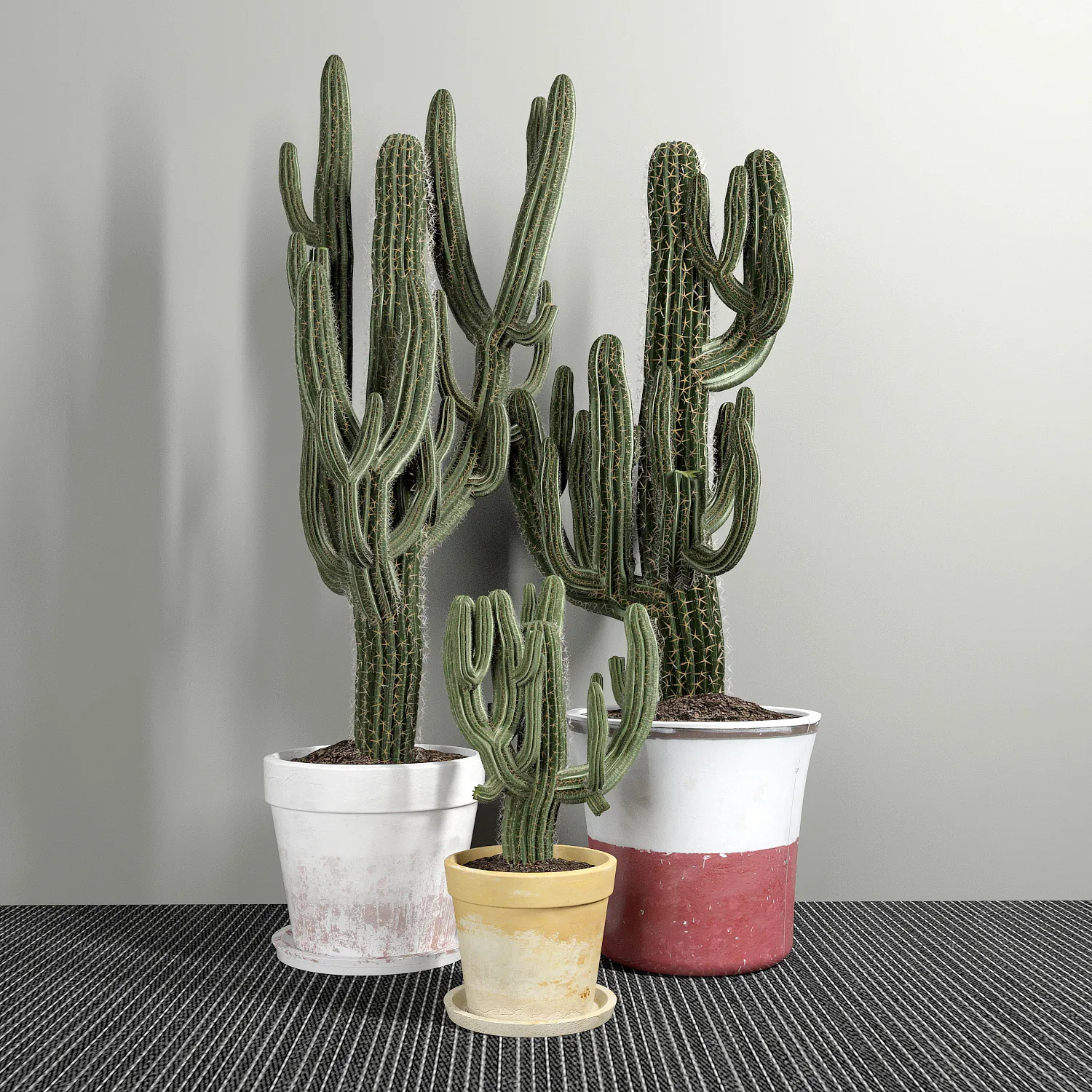 decoration – Set of three cactuses 09 3ds Max