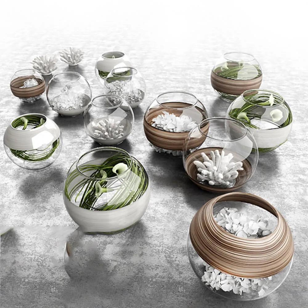 decoration – Set of vases with plants 3ds Max