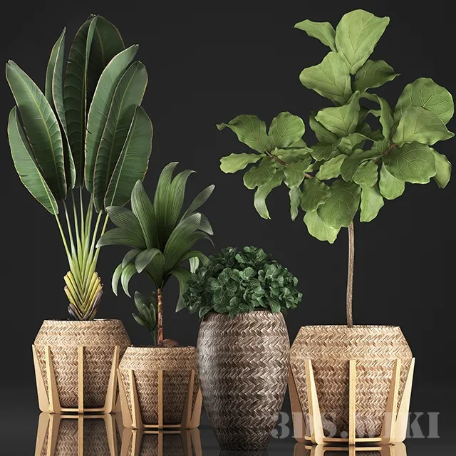 decoration – SET PLANT POT 17072019 3ds Max
