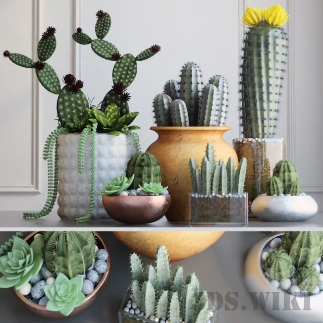 decoration – Set with Cactuses 3ds Max