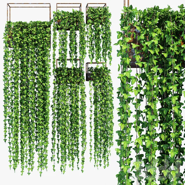 decoration – Shelves of plants 9 3ds Max