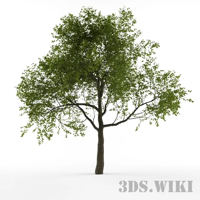 decoration – Simple decorative tree 3ds Max