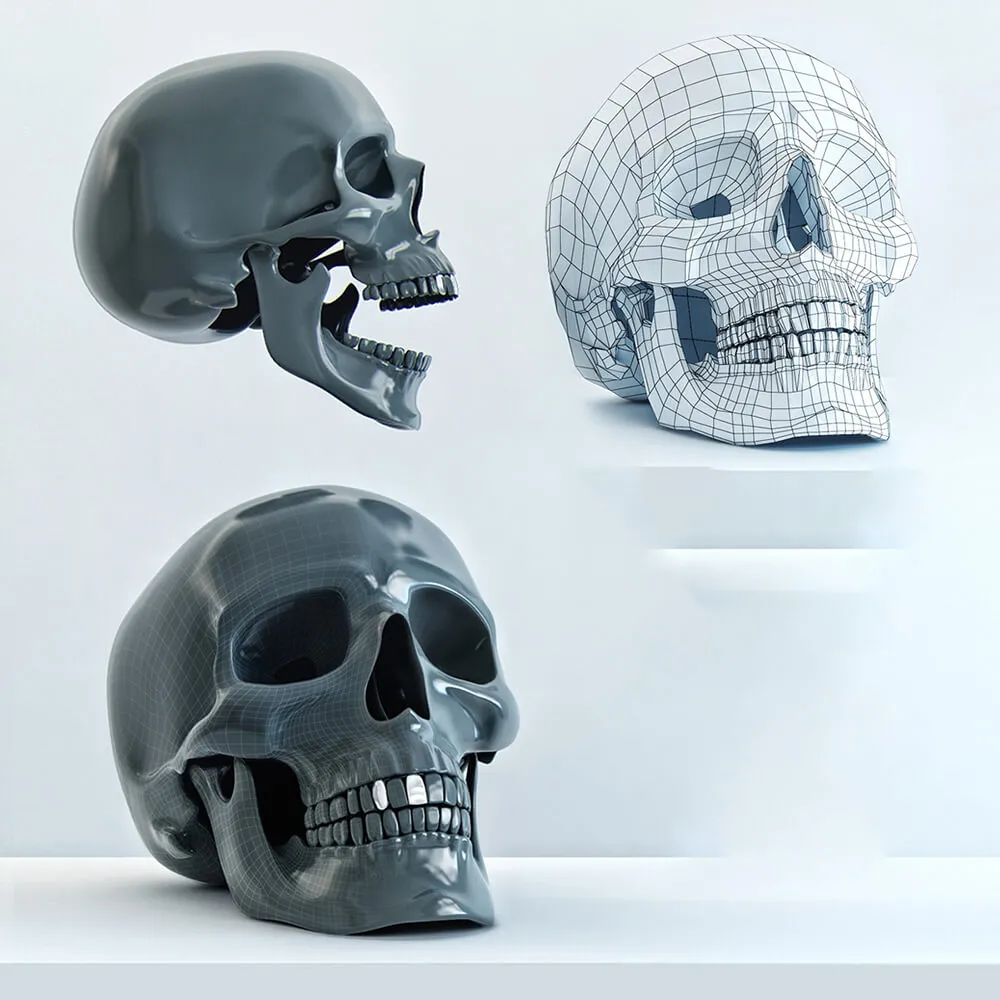 decoration – Skull model 3ds Max