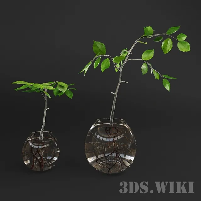 decoration – Small plant in a glass vase 3ds Max
