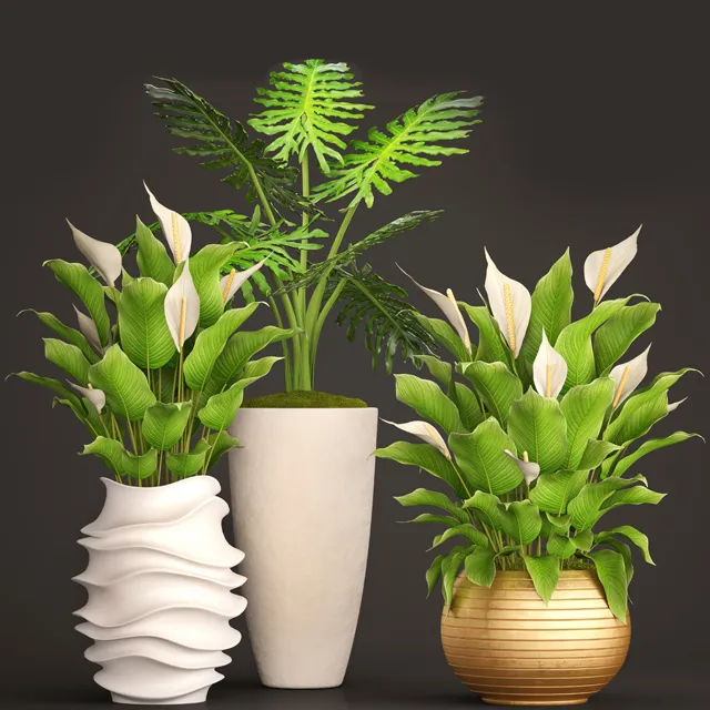 decoration – Spathiphyllum big set 05 3ds Max